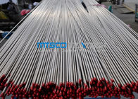 TP316L Precision Stainless Steel Tubing Seamless Bright Annealed Boiler Tube